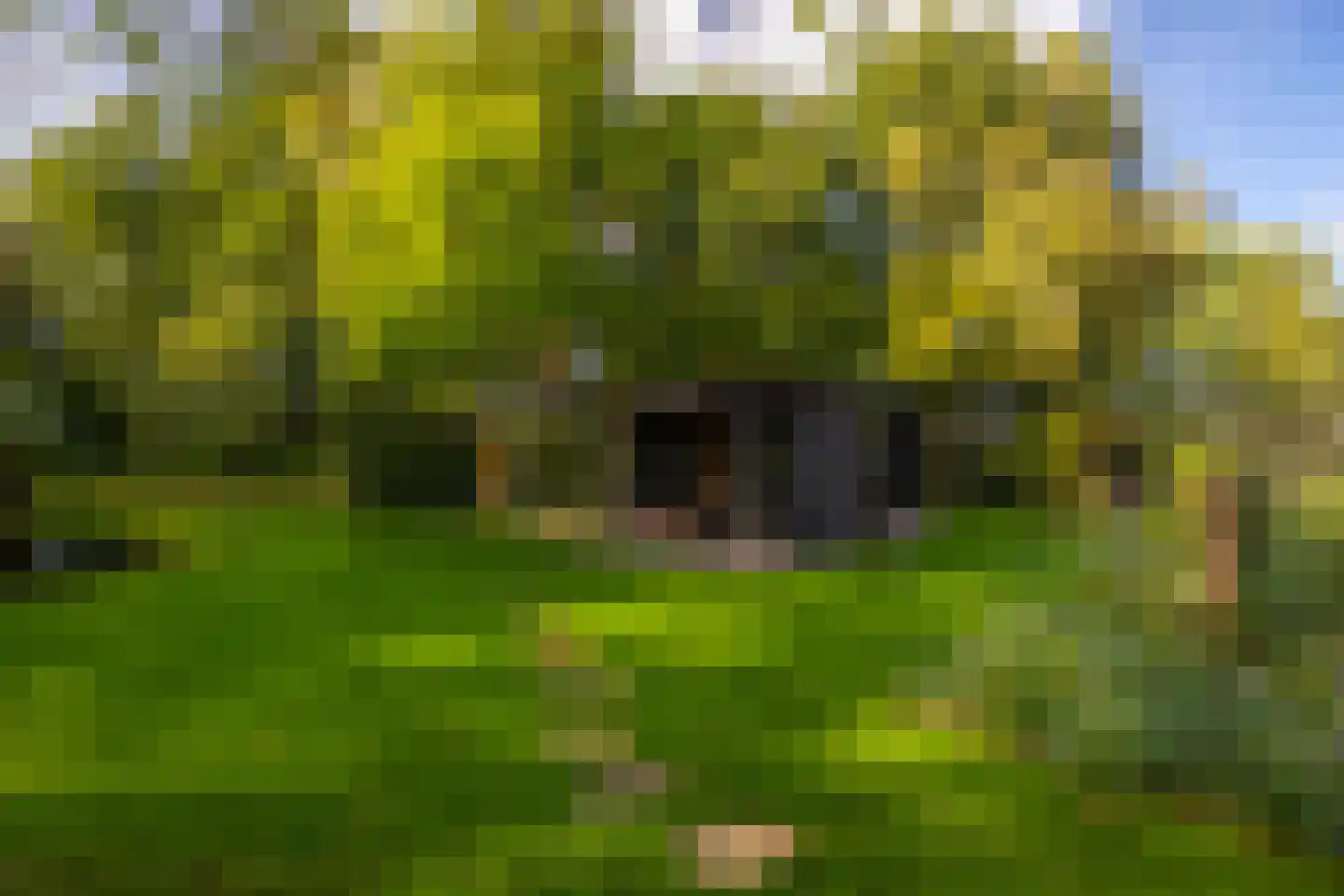 Oude Deventerweg 2 Laren thumbnail 94