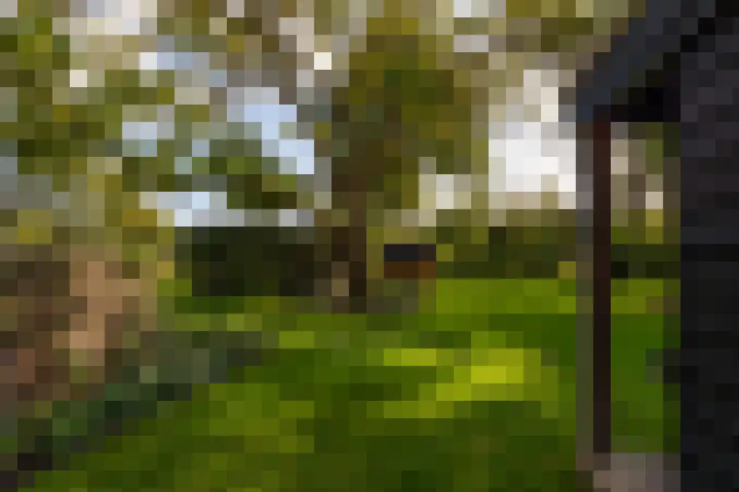 Oude Deventerweg 2 Laren thumbnail 96