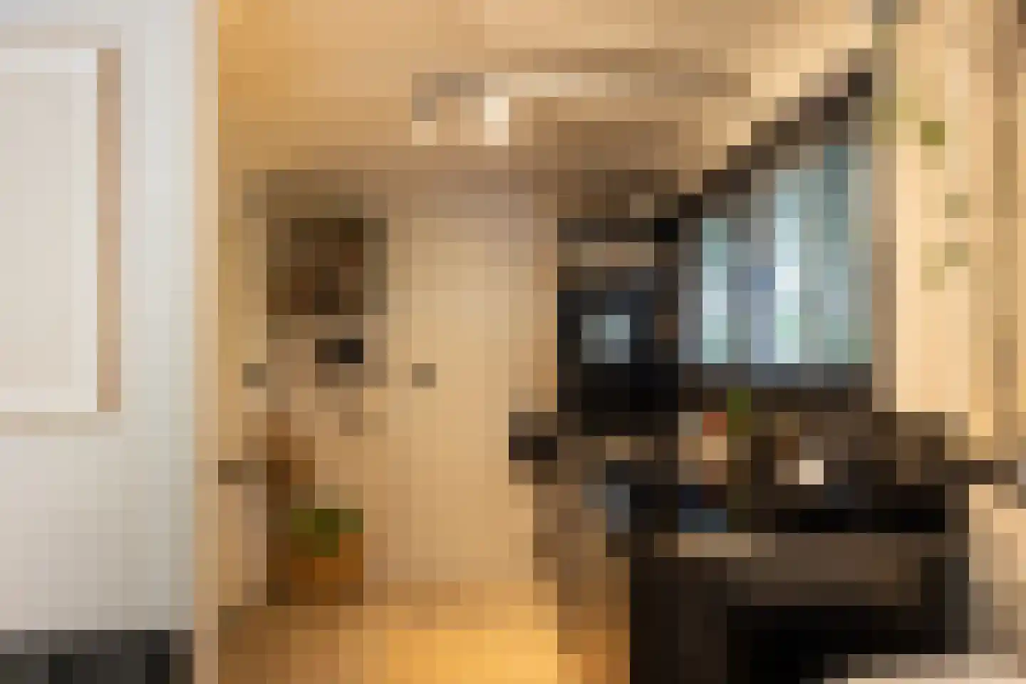 Oude Deventerweg 2 Laren thumbnail 99