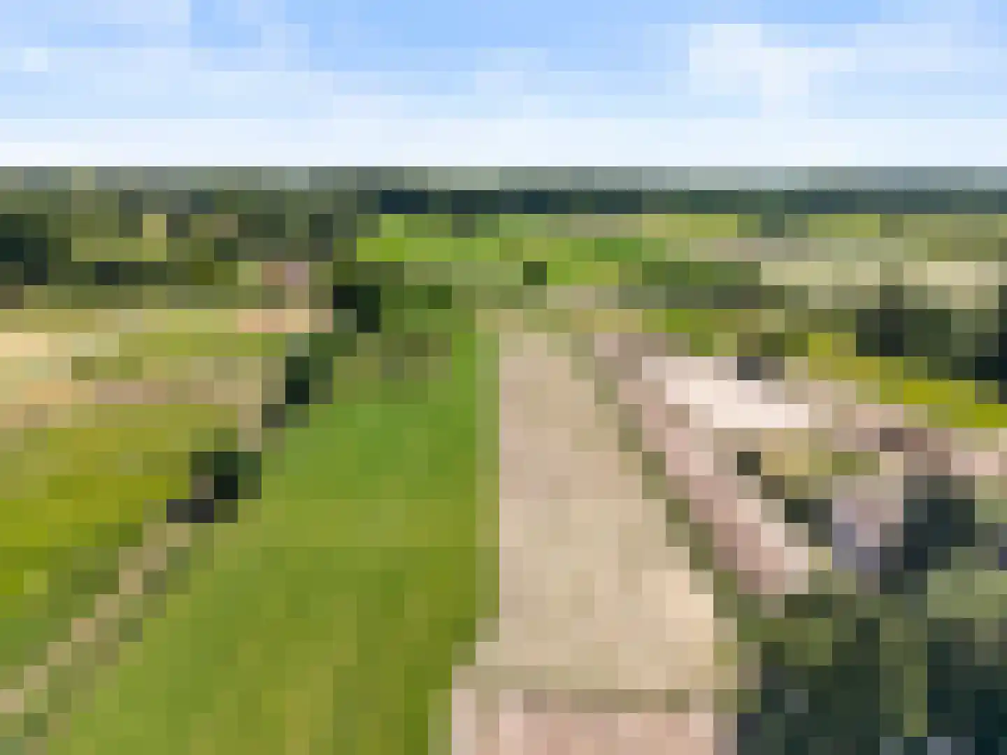 Oude Diedenweg 24 Wageningen thumbnail 11