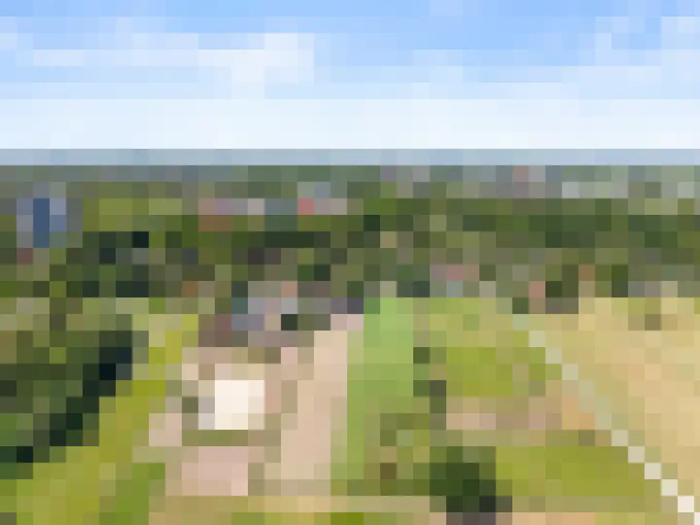 Oude Diedenweg 24 Wageningen thumbnail 12