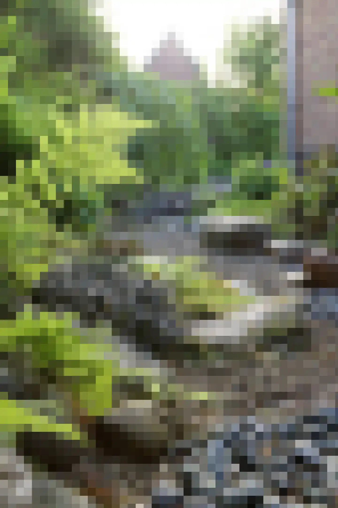 Oude Diedenweg 24 Wageningen thumbnail 22