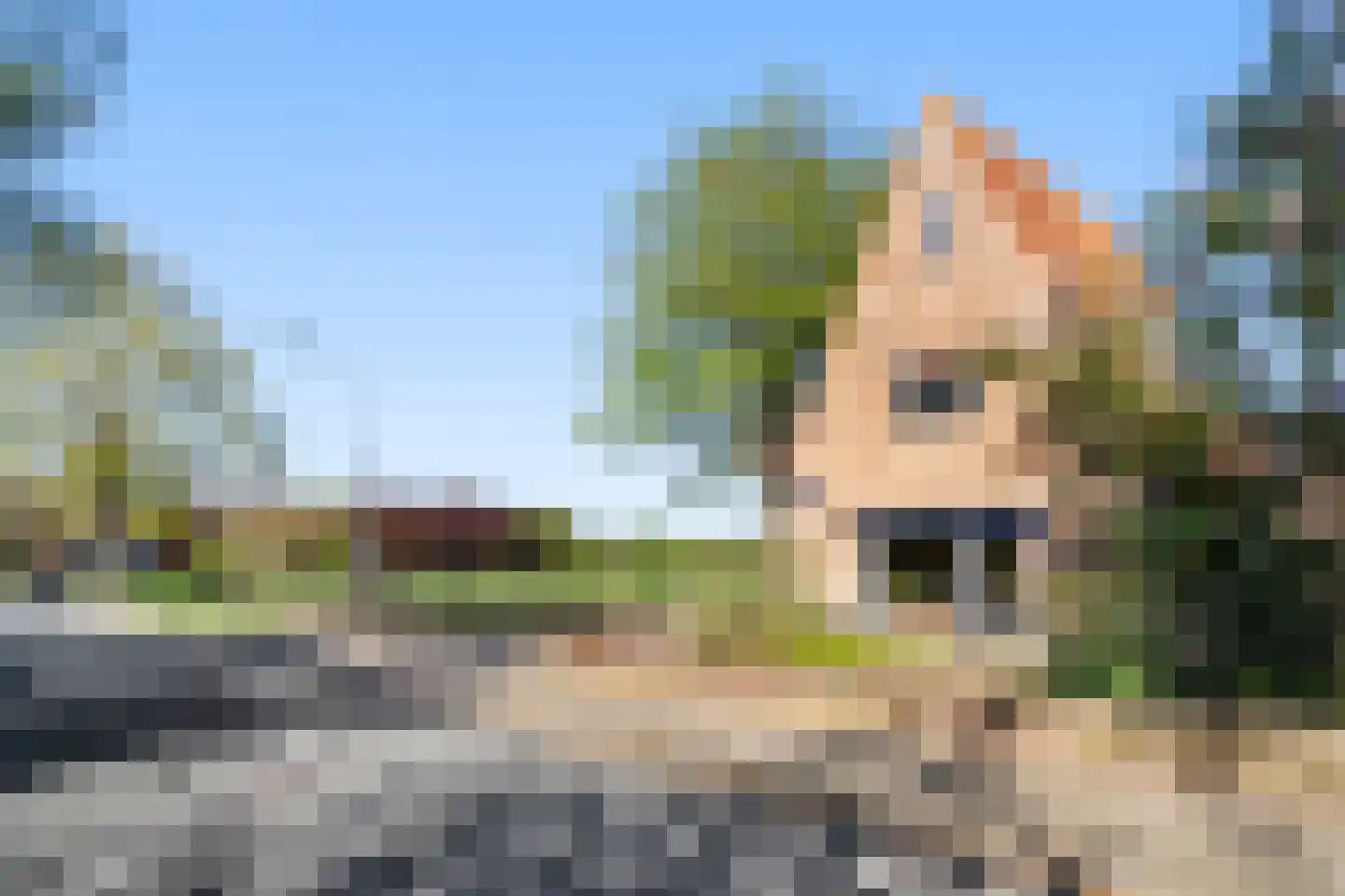 Oude Diedenweg 24 Wageningen thumbnail 5