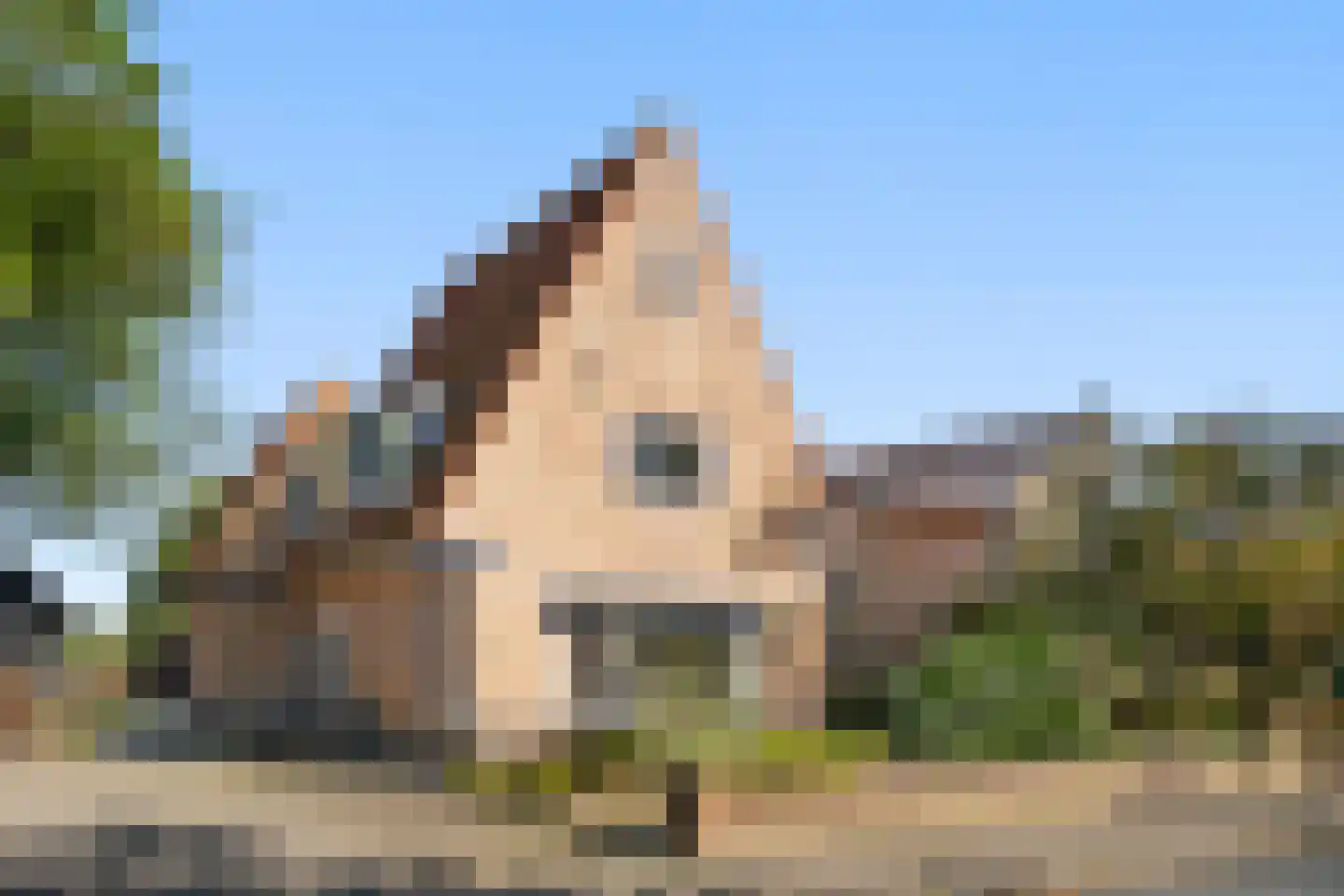 Oude Diedenweg 24 Wageningen thumbnail 7