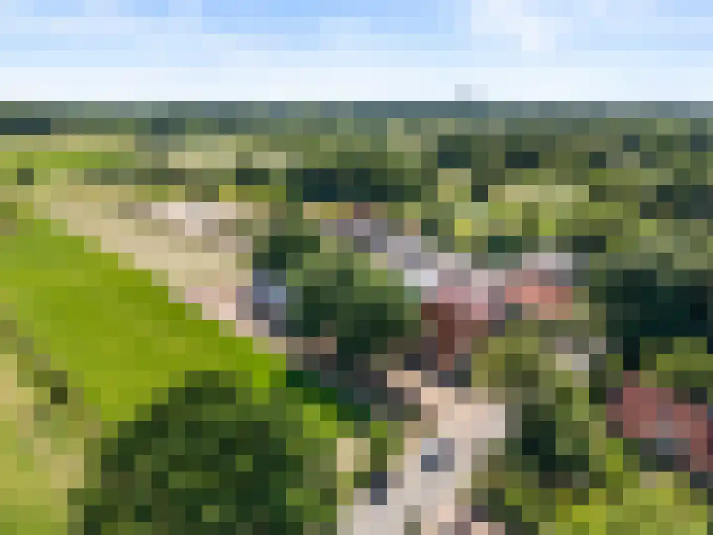 Oude Diedenweg 24 Wageningen thumbnail 9