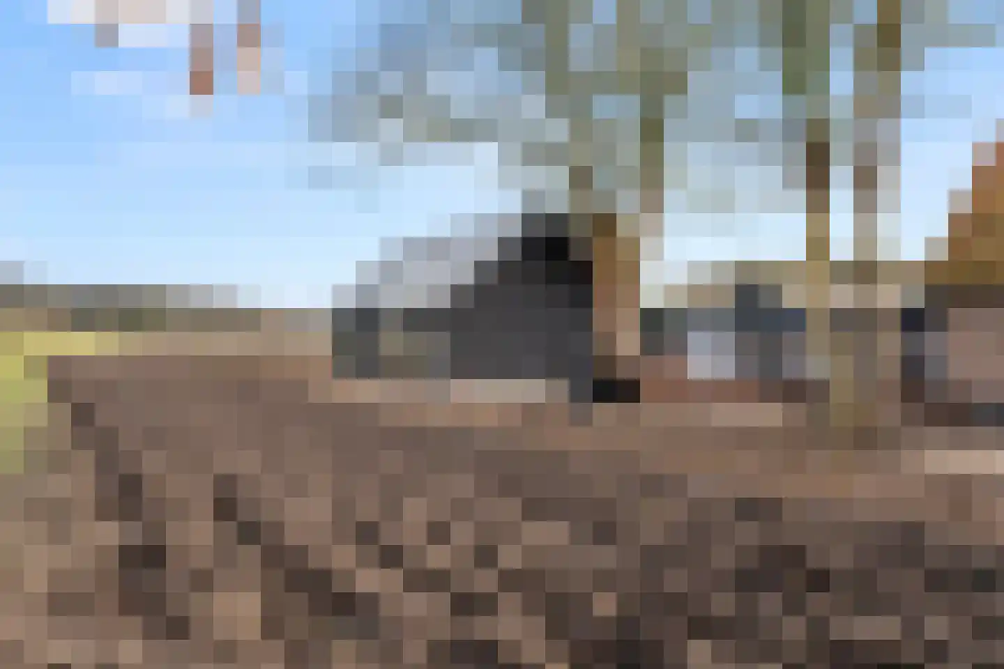 Oude Diedenweg 26 Wageningen thumbnail 11