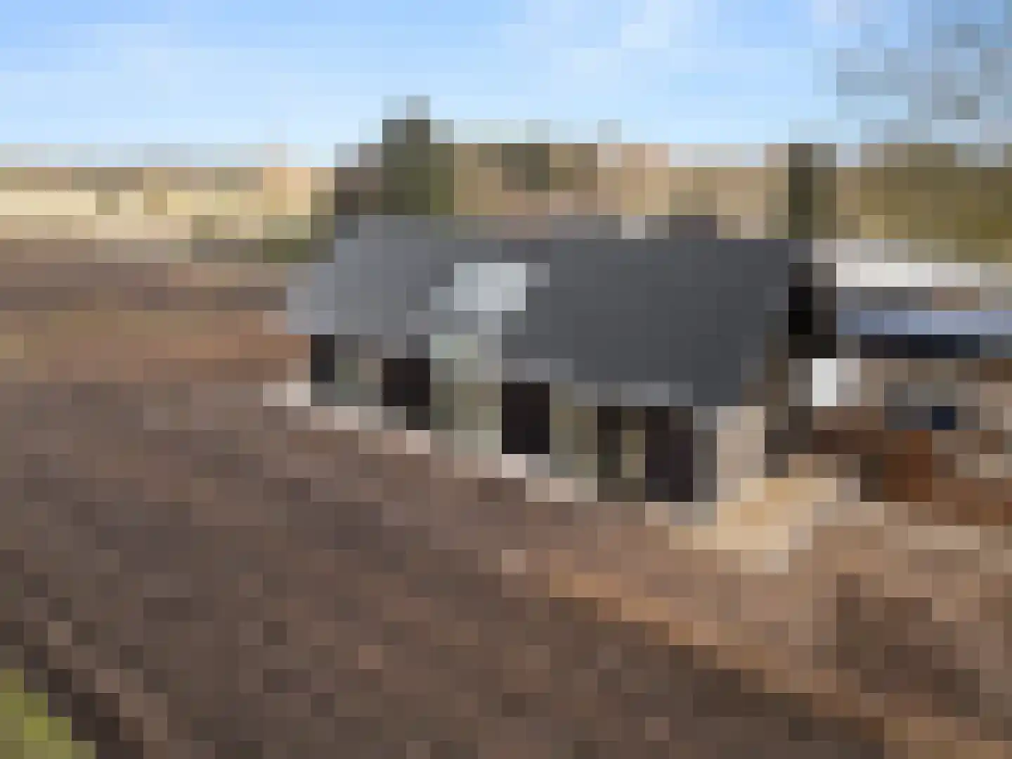 Oude Diedenweg 26 Wageningen thumbnail 13