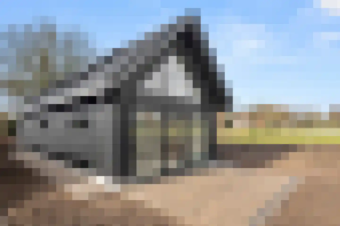 Oude Diedenweg 26 Wageningen thumbnail 16