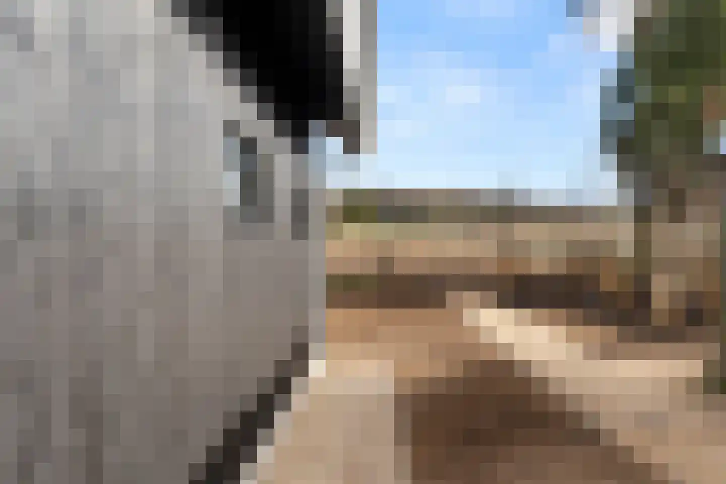 Oude Diedenweg 26 Wageningen thumbnail 21
