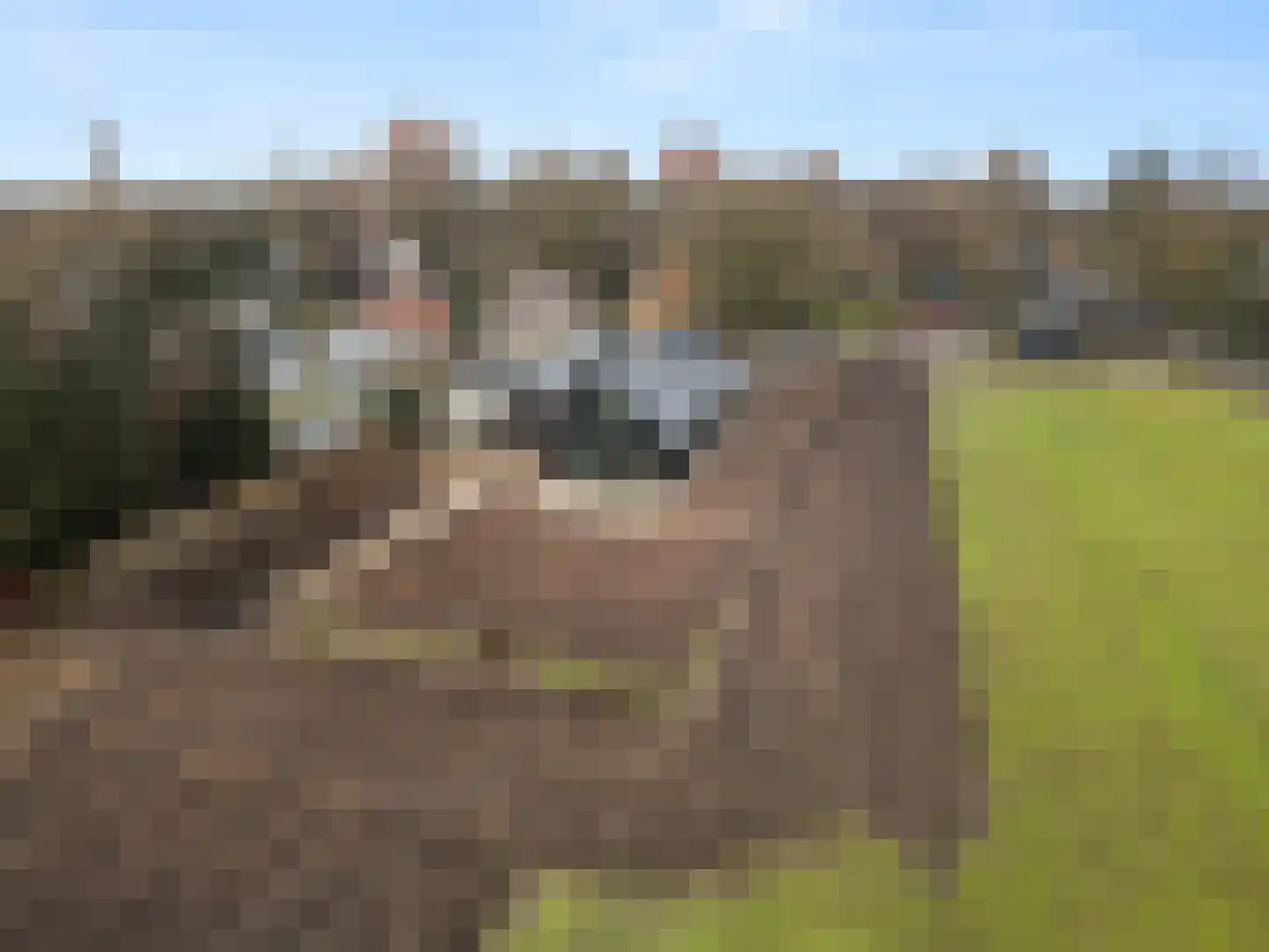 Oude Diedenweg 26 Wageningen thumbnail 25