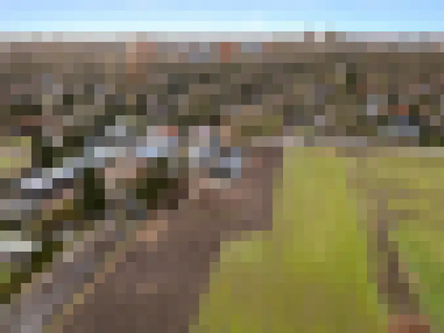 Oude Diedenweg 26 Wageningen thumbnail 26