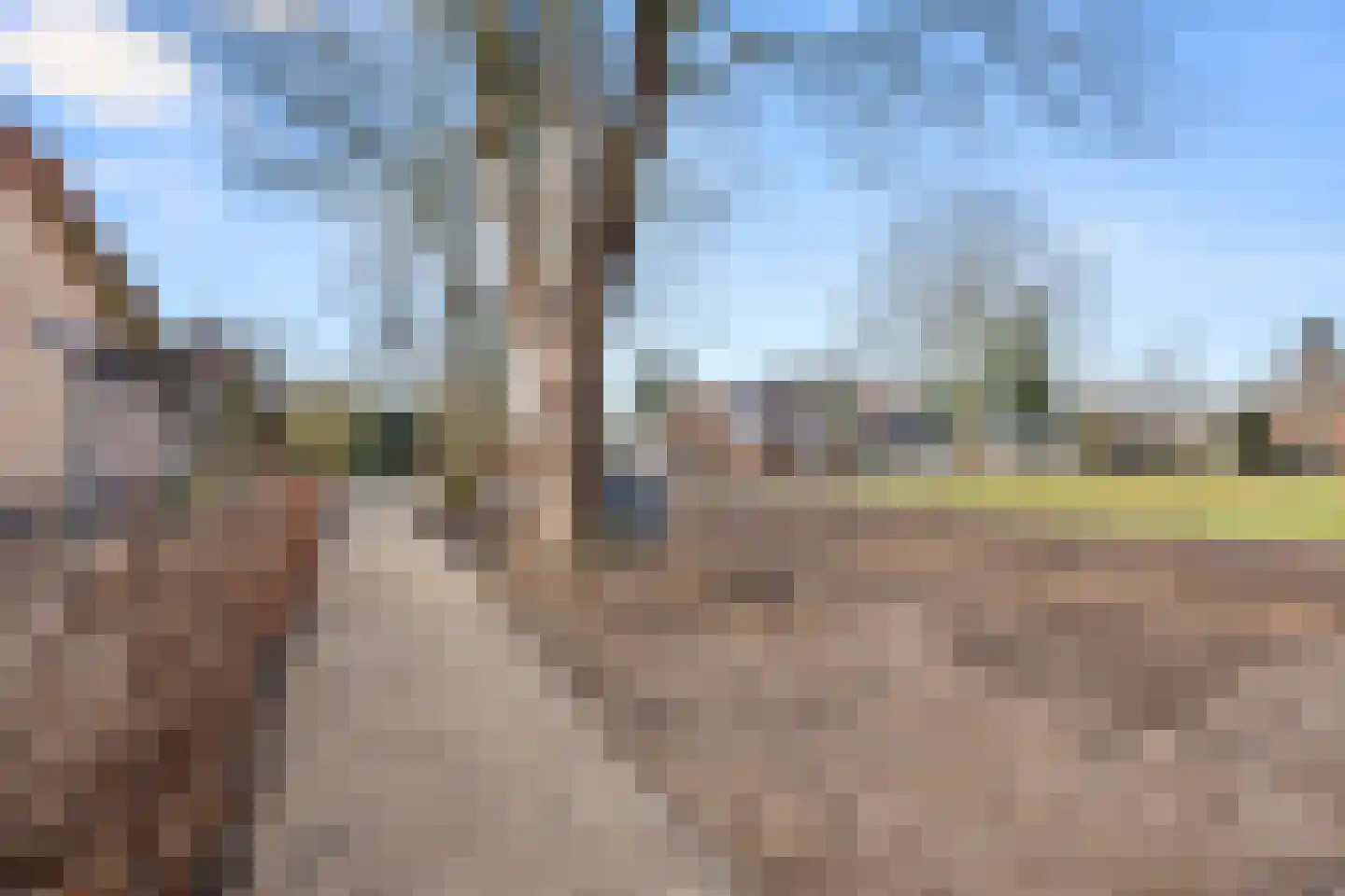 Oude Diedenweg 26 Wageningen thumbnail 30