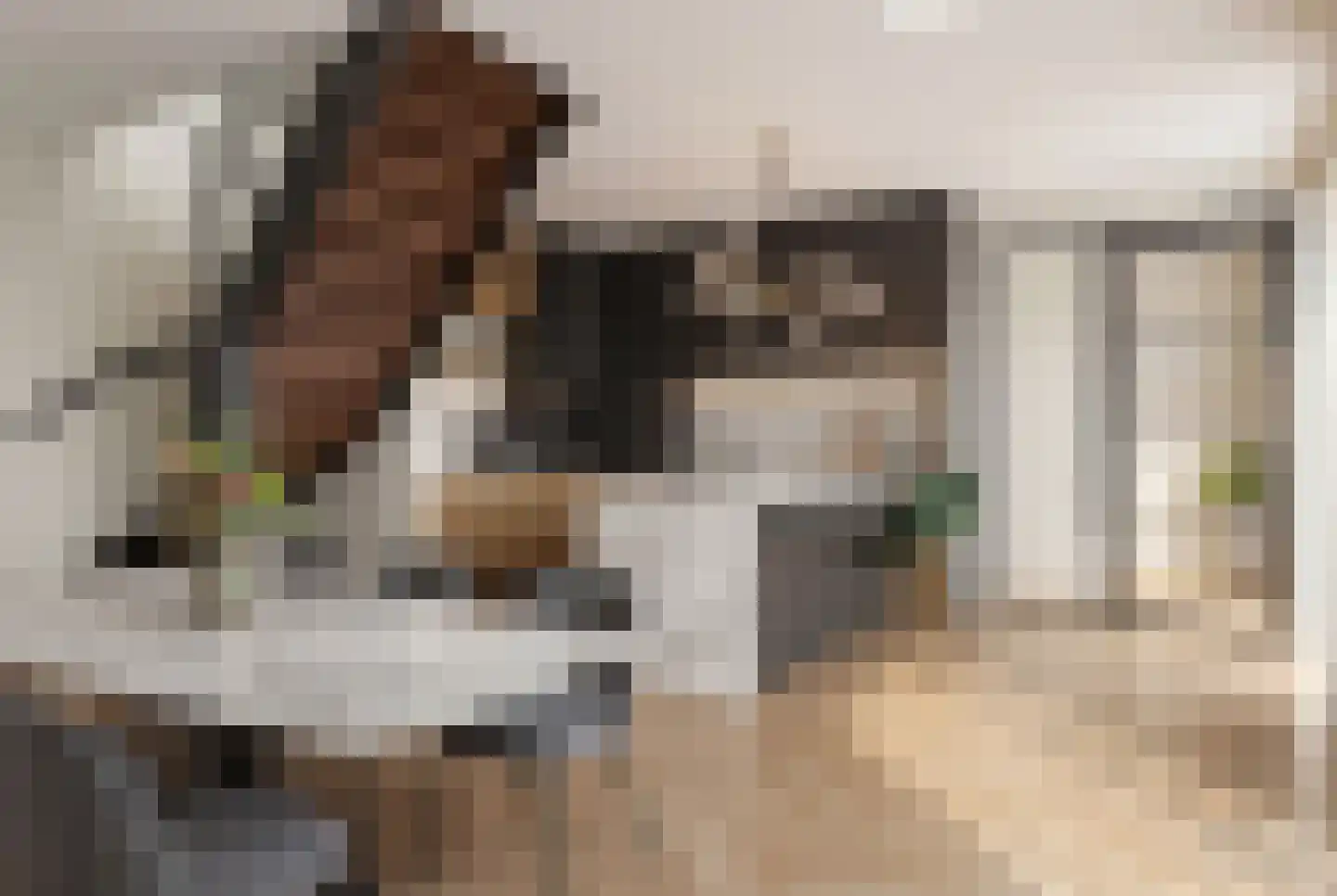 Oude Diedenweg 26 Wageningen thumbnail 36