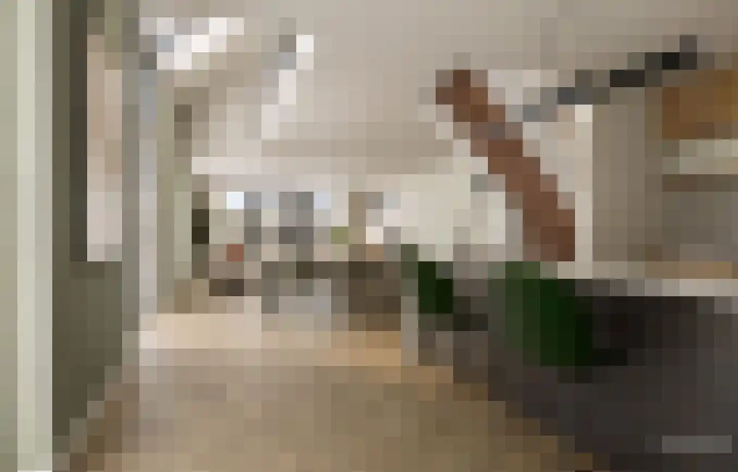 Oude Diedenweg 26 Wageningen thumbnail 38