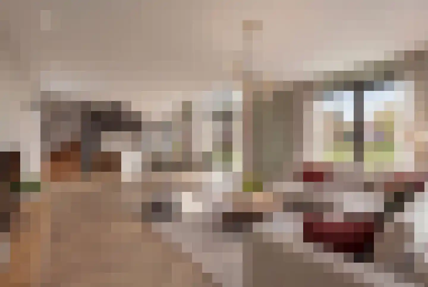 Oude Diedenweg 26 Wageningen thumbnail 49