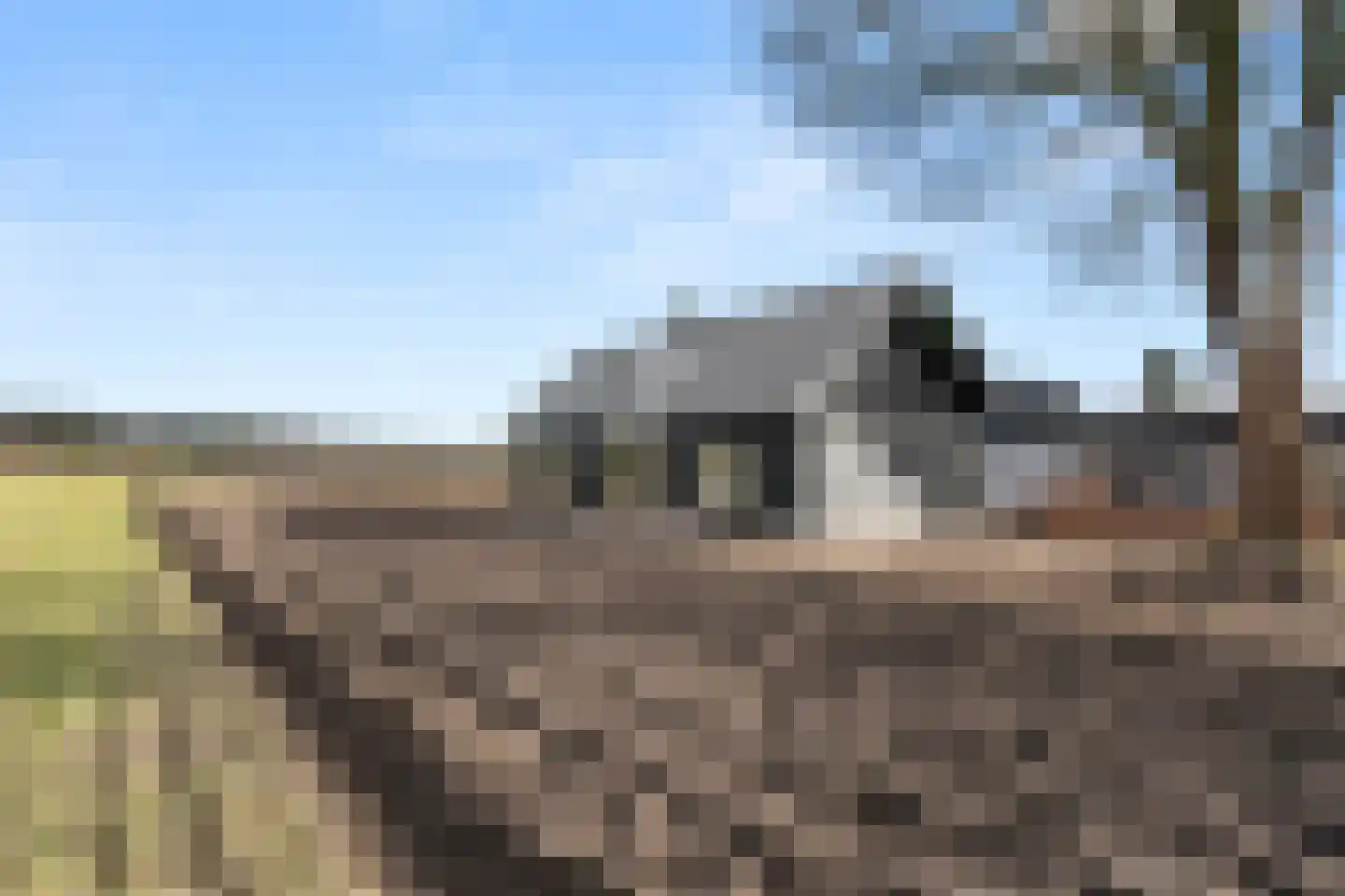Oude Diedenweg 26 Wageningen thumbnail 6