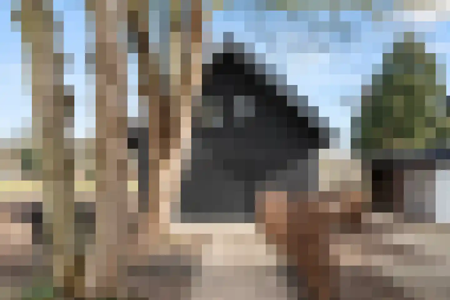 Oude Diedenweg 26 Wageningen thumbnail 8