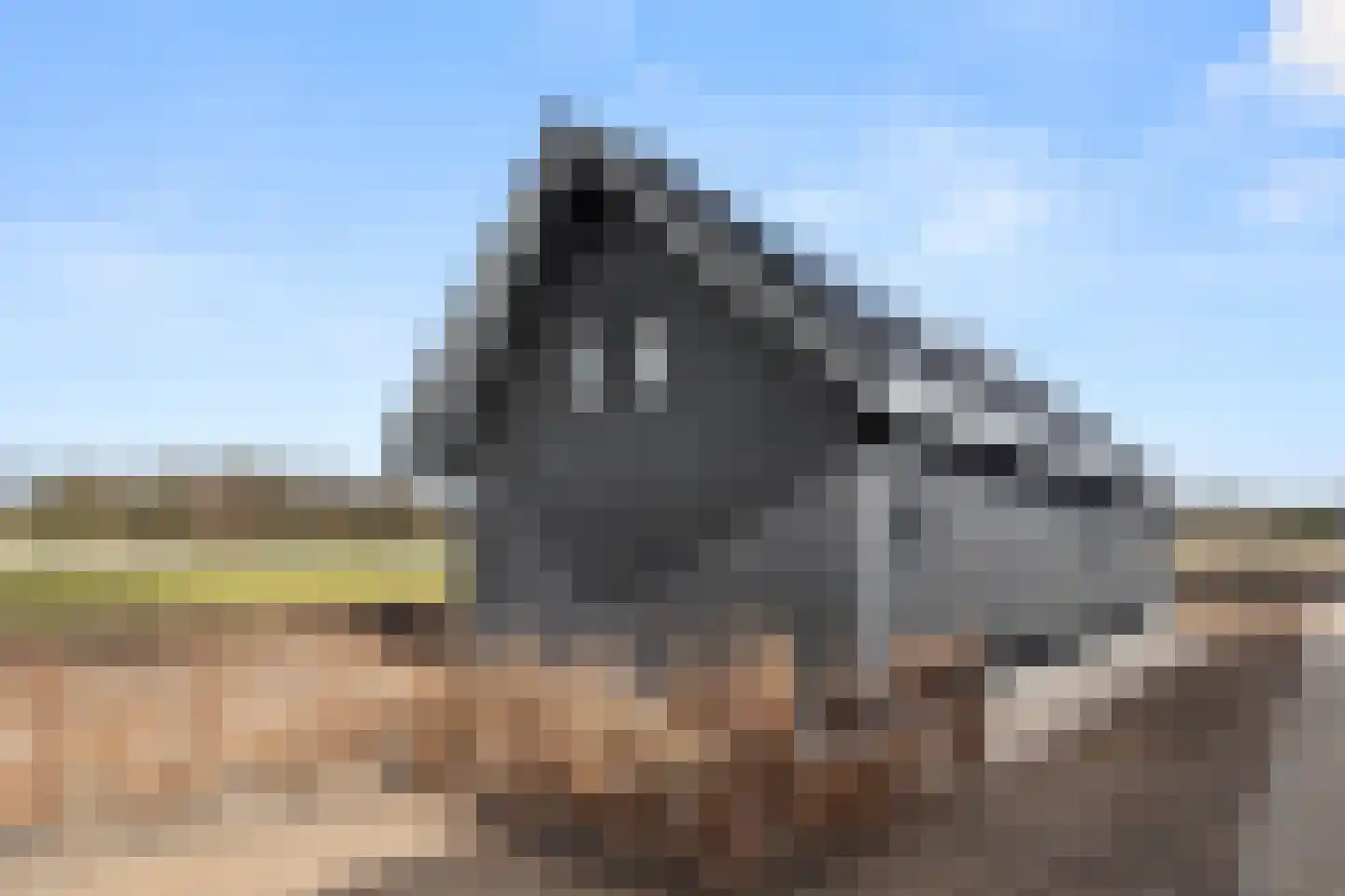Oude Diedenweg 26 Wageningen thumbnail 9