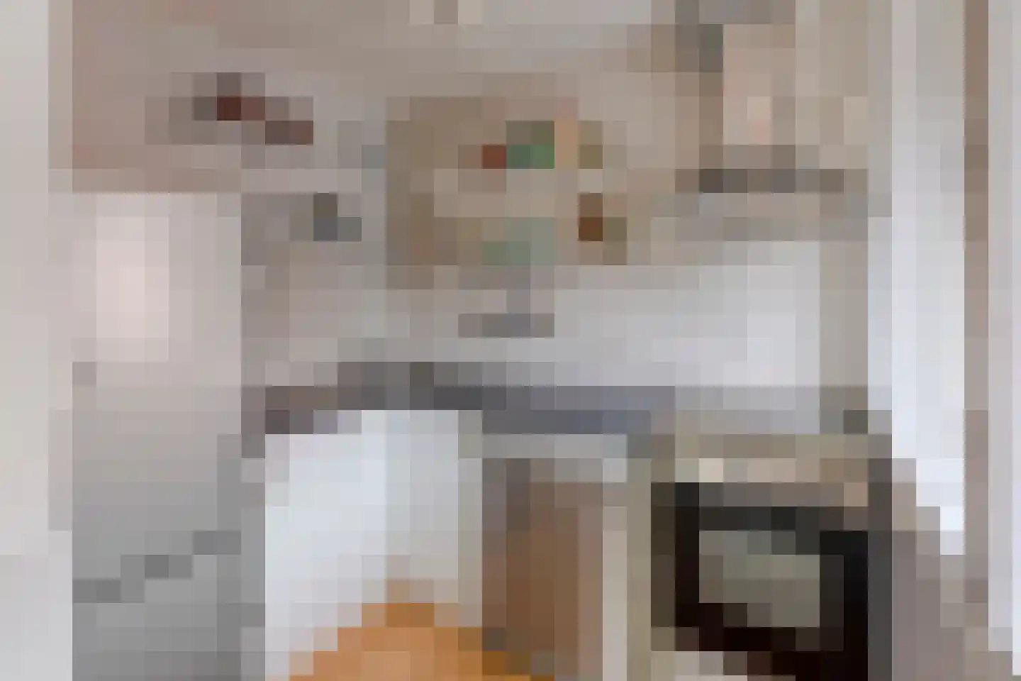 Oude Dieze 1 's-Hertogenbosch thumbnail 10
