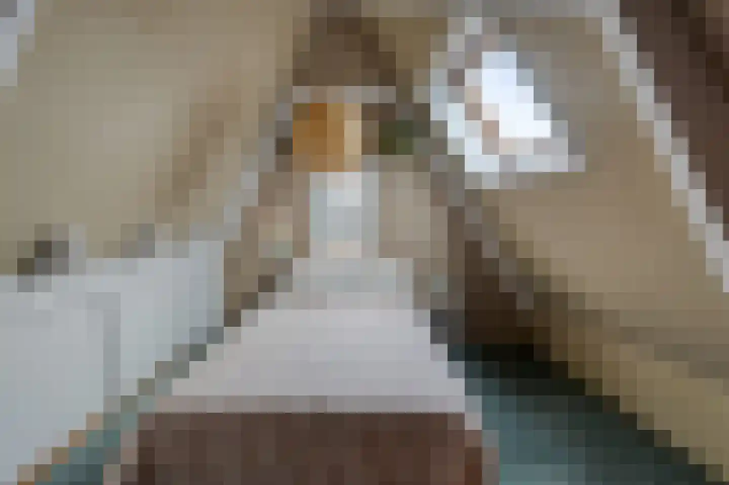 Oude Dieze 1 's-Hertogenbosch thumbnail 13