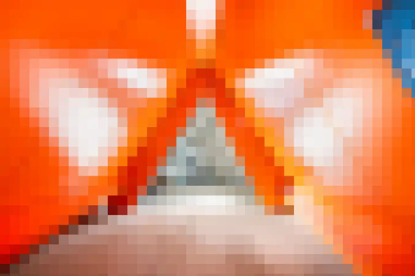 Oude Dieze 1 's-Hertogenbosch thumbnail 19