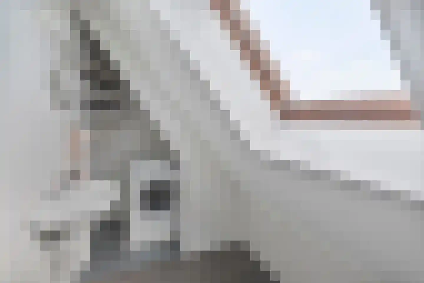 Oude Dieze 1 's-Hertogenbosch thumbnail 21