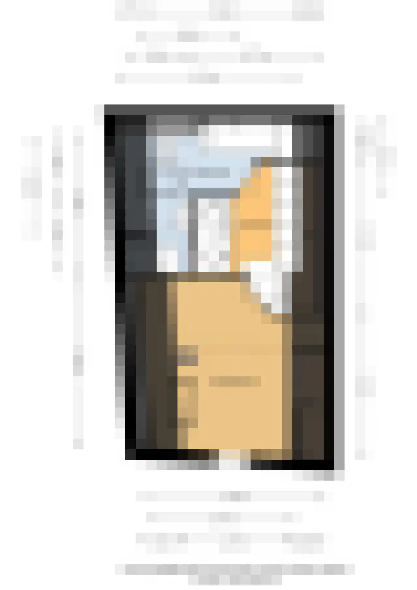 Oude Dieze 1 's-Hertogenbosch thumbnail 30