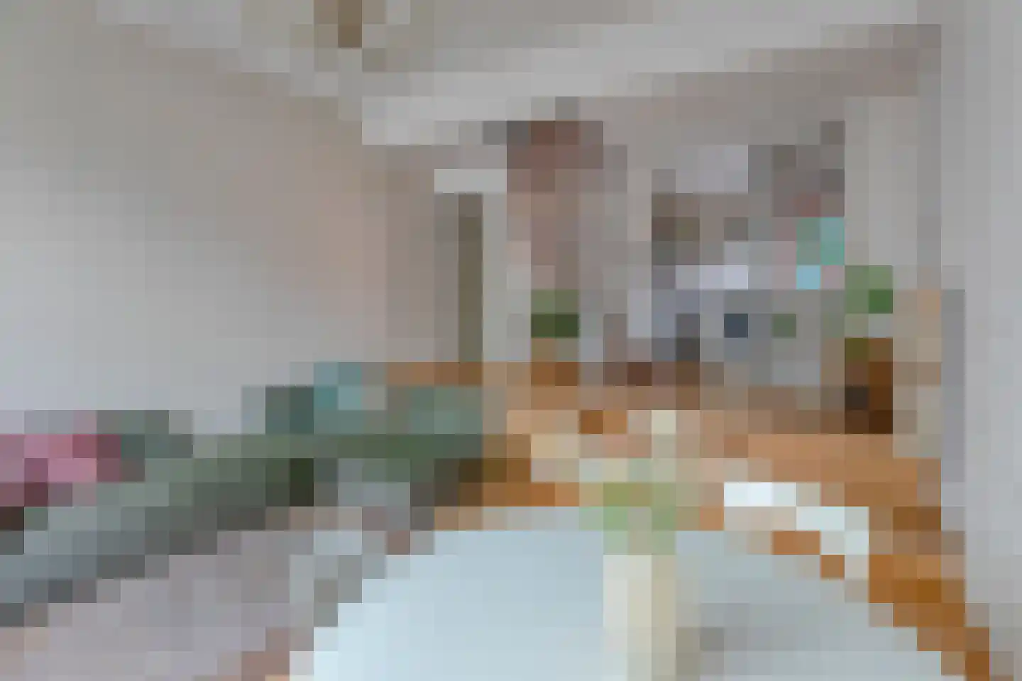Oude Dieze 1 's-Hertogenbosch thumbnail 4