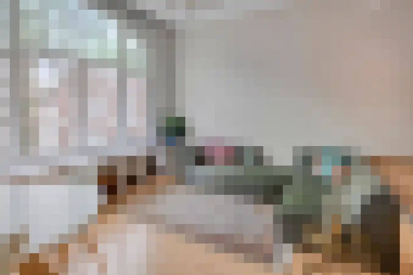 Oude Dieze 1 's-Hertogenbosch thumbnail 6