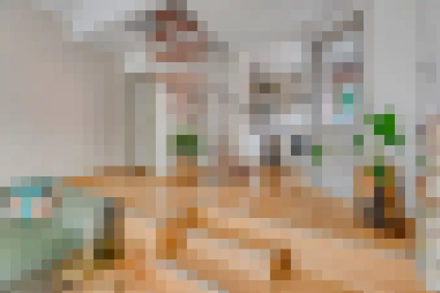 Oude Dieze 1 's-Hertogenbosch thumbnail 9