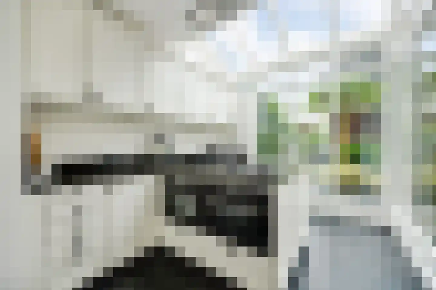 Oude Dieze 9 's-Hertogenbosch thumbnail 11