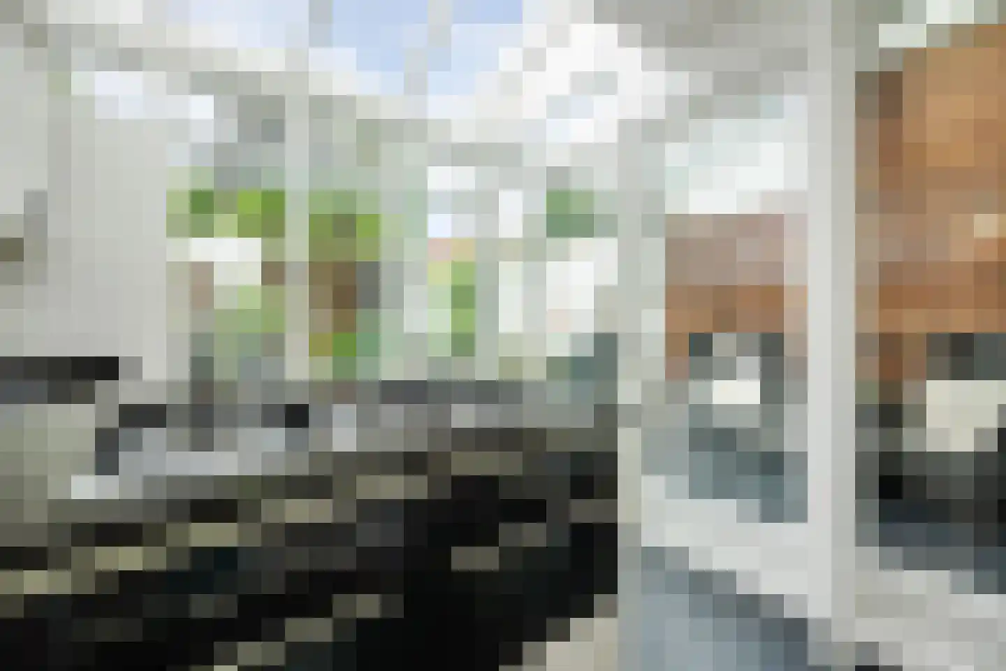 Oude Dieze 9 's-Hertogenbosch thumbnail 12