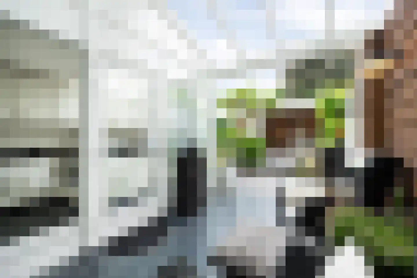 Oude Dieze 9 's-Hertogenbosch thumbnail 15