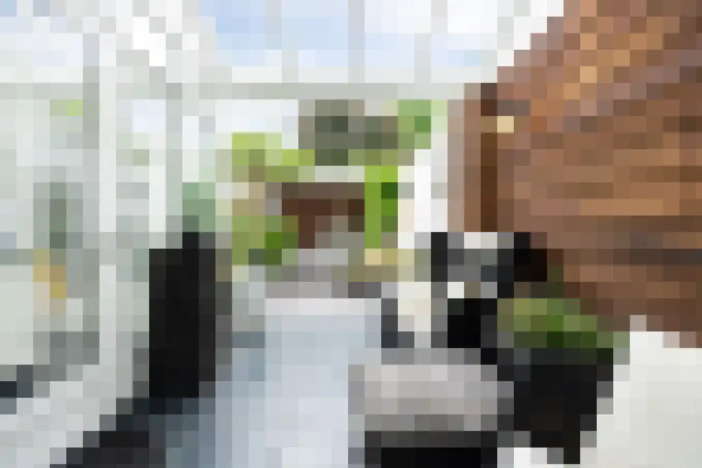 Oude Dieze 9 's-Hertogenbosch thumbnail 16