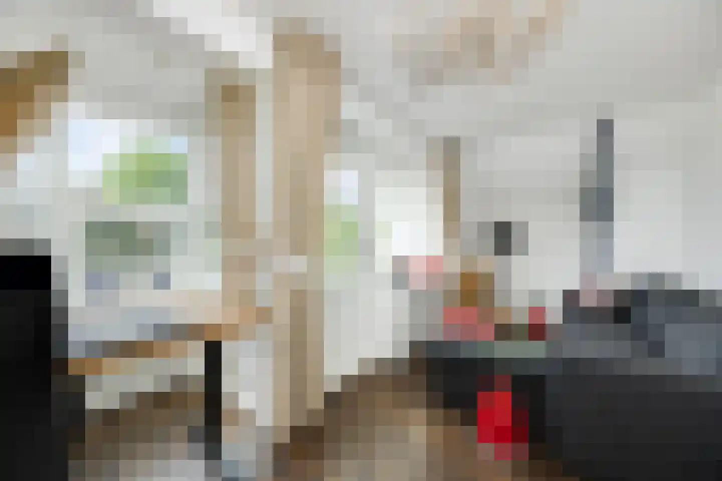 Oude Dieze 9 's-Hertogenbosch thumbnail 33