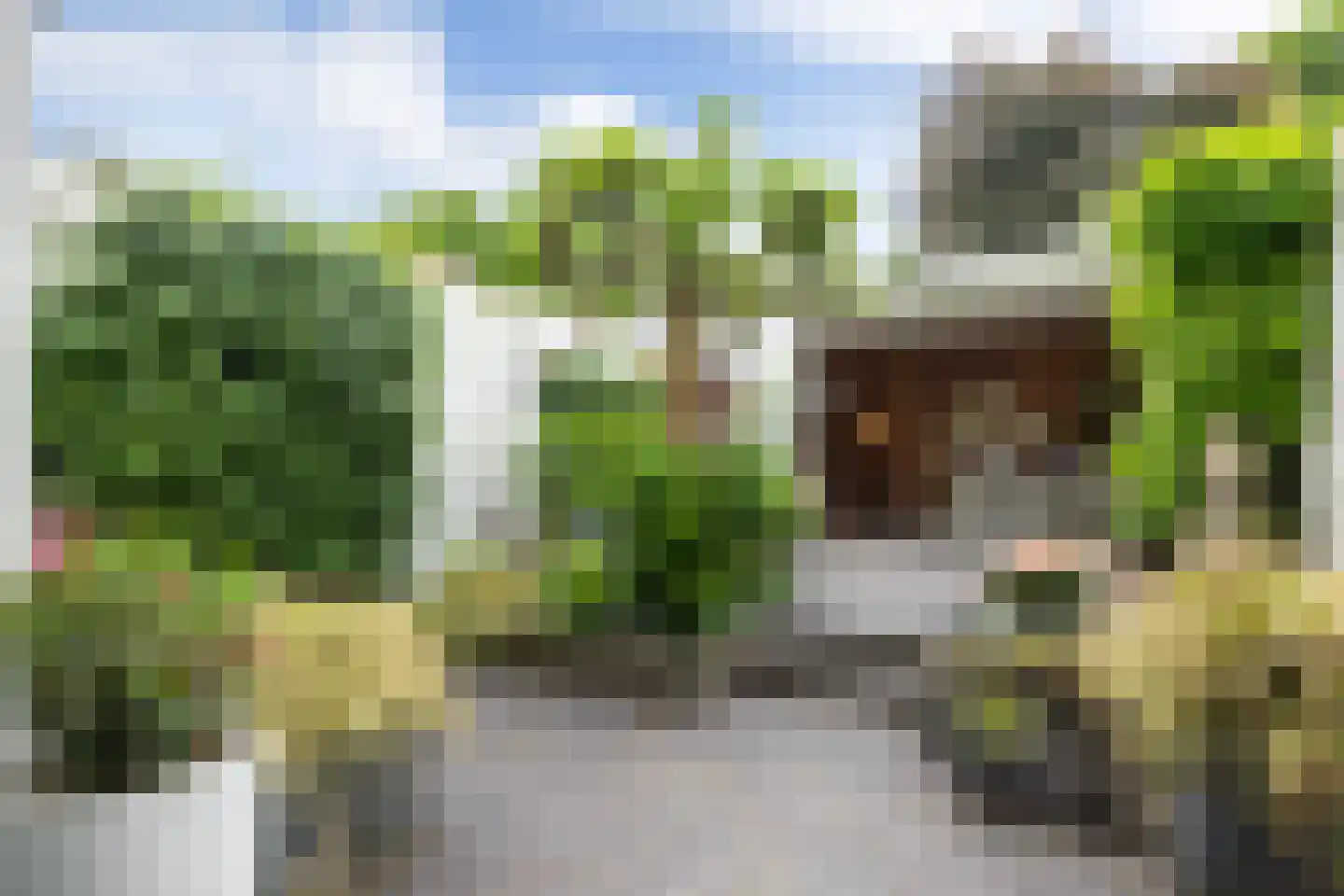 Oude Dieze 9 's-Hertogenbosch thumbnail 35