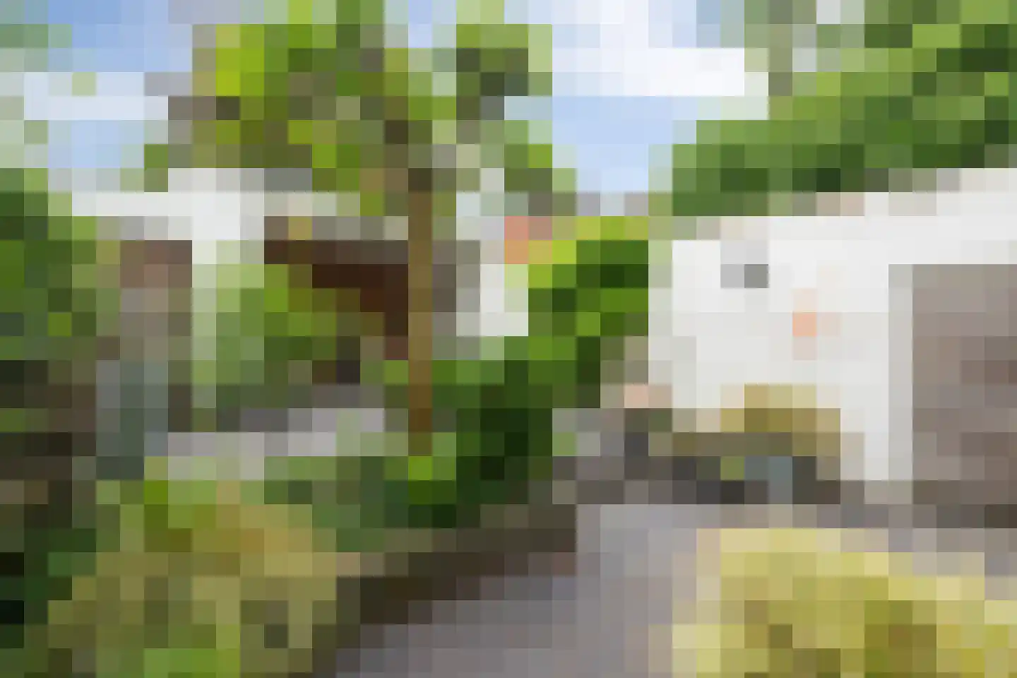 Oude Dieze 9 's-Hertogenbosch thumbnail 36