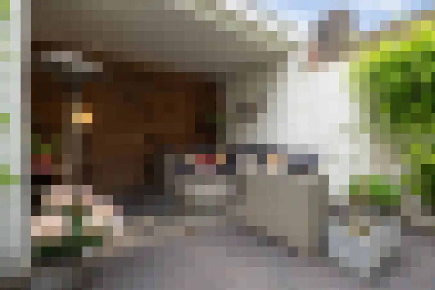 Oude Dieze 9 's-Hertogenbosch thumbnail 37