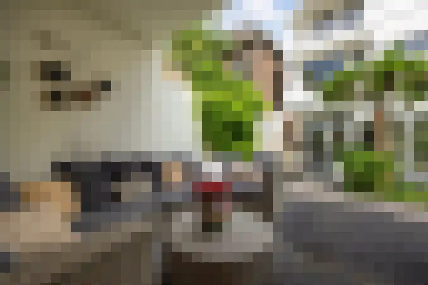 Oude Dieze 9 's-Hertogenbosch thumbnail 38