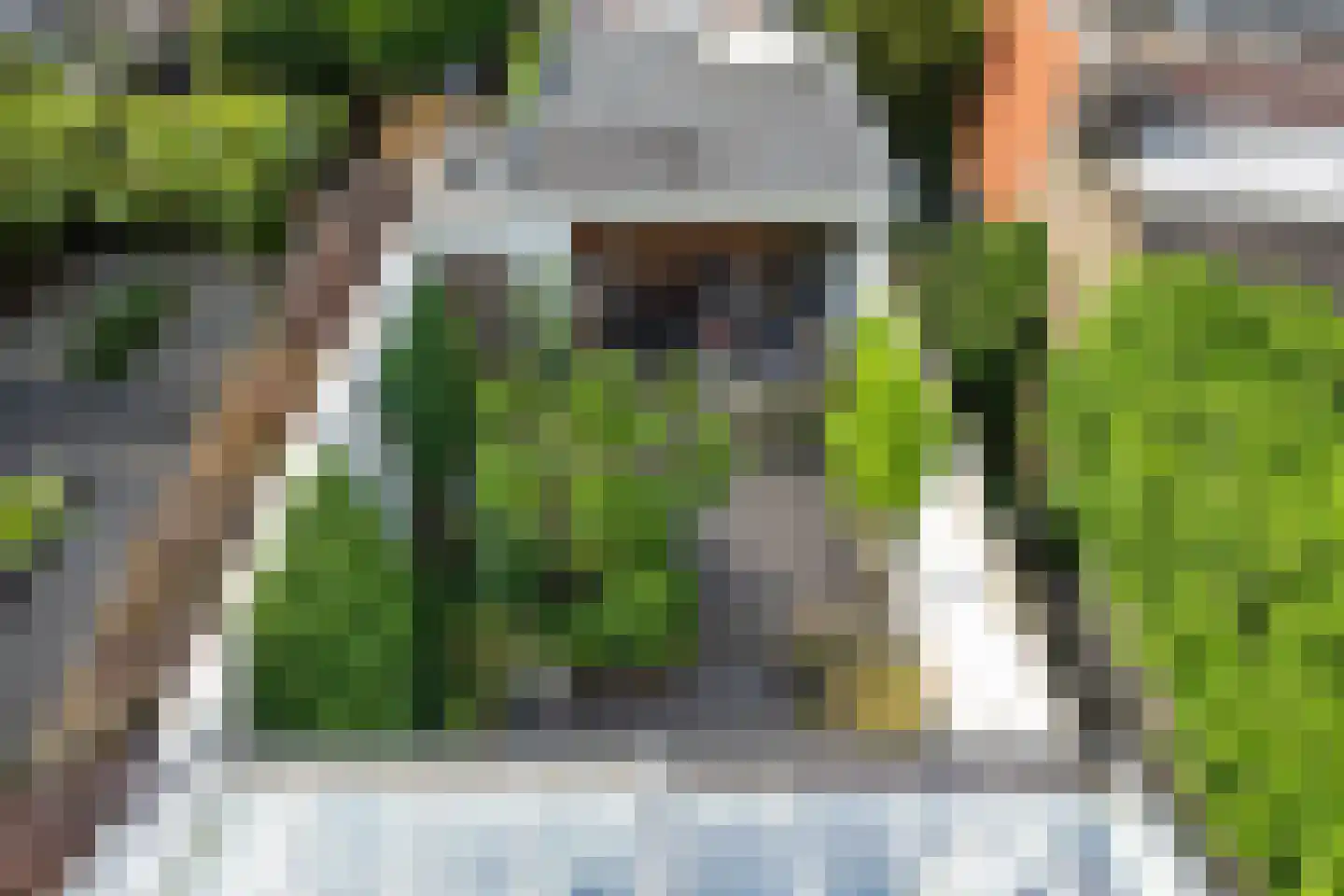 Oude Dieze 9 's-Hertogenbosch thumbnail 41