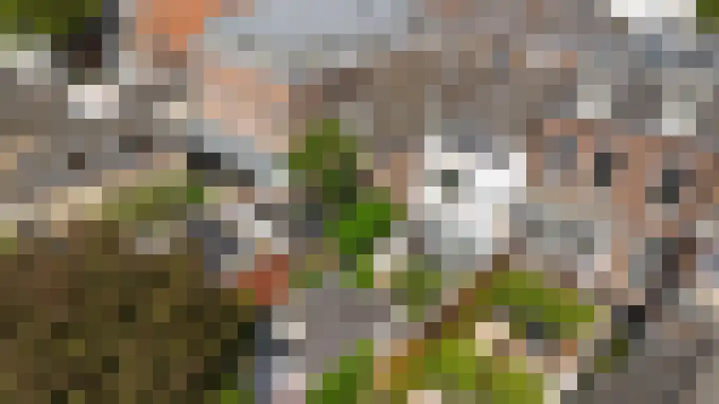 Oude Dieze 9 's-Hertogenbosch thumbnail 42
