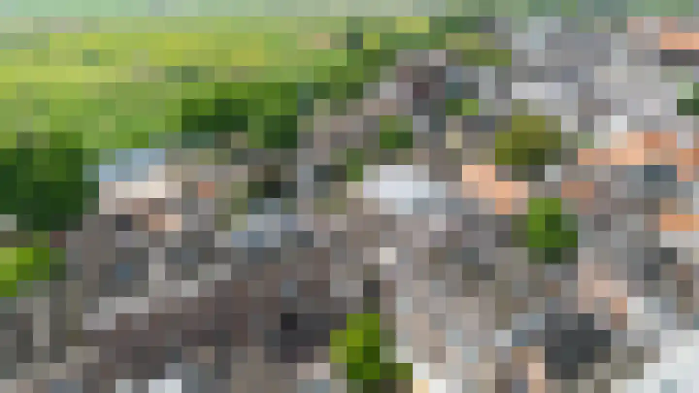 Oude Dieze 9 's-Hertogenbosch thumbnail 43