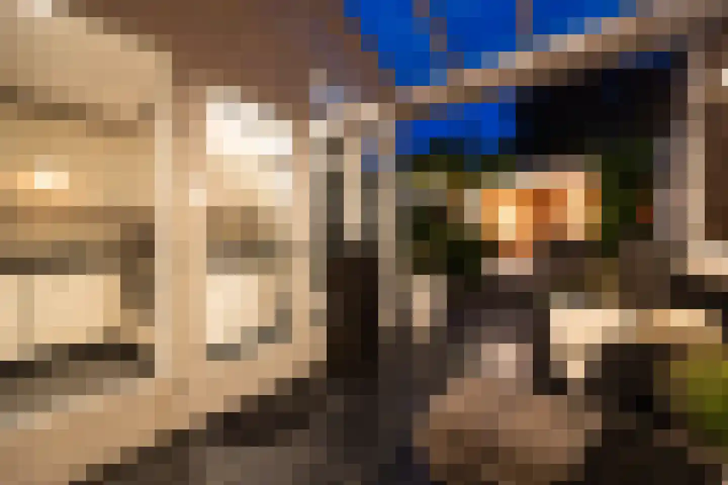 Oude Dieze 9 's-Hertogenbosch thumbnail 46