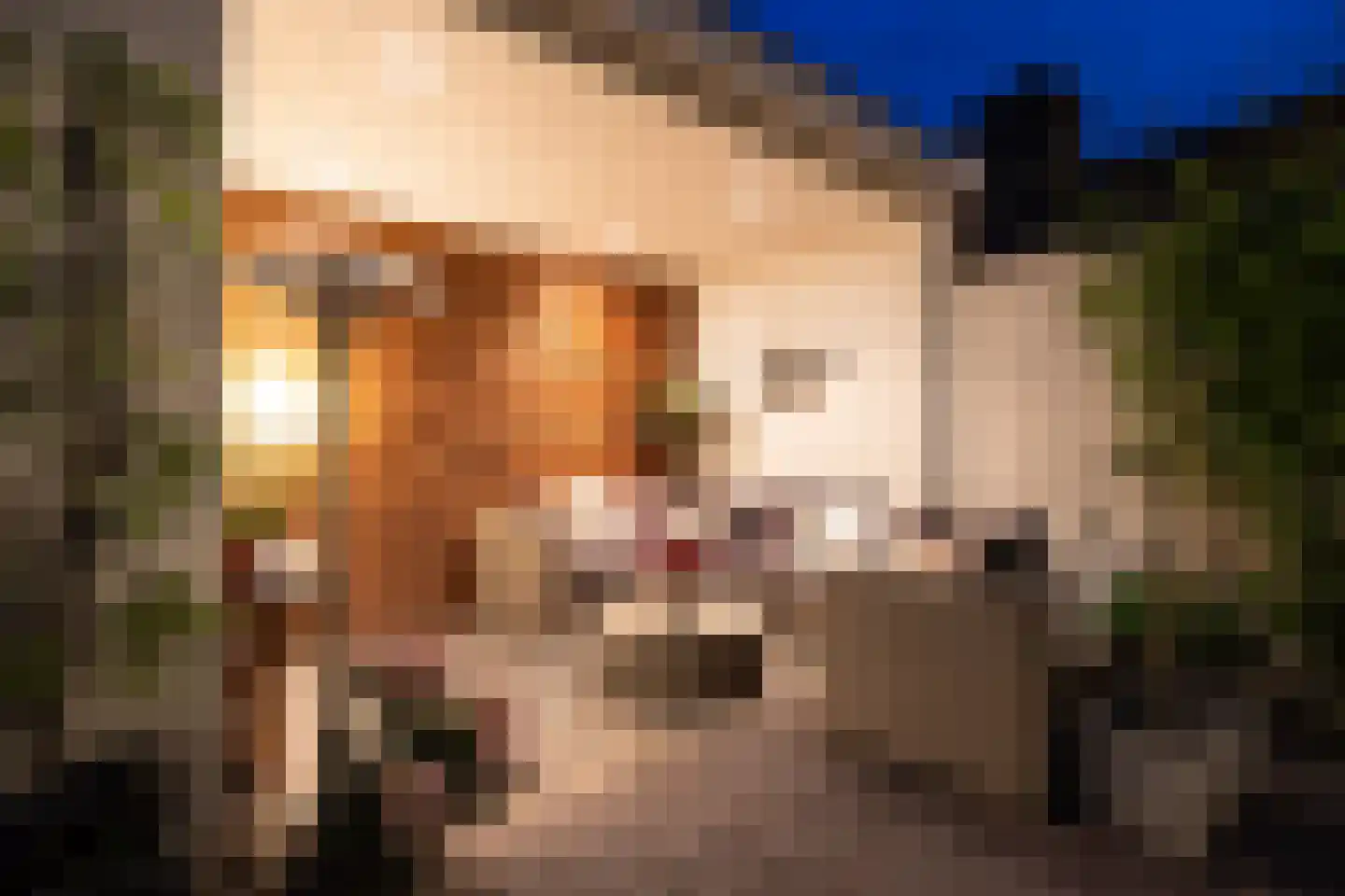 Oude Dieze 9 's-Hertogenbosch thumbnail 47