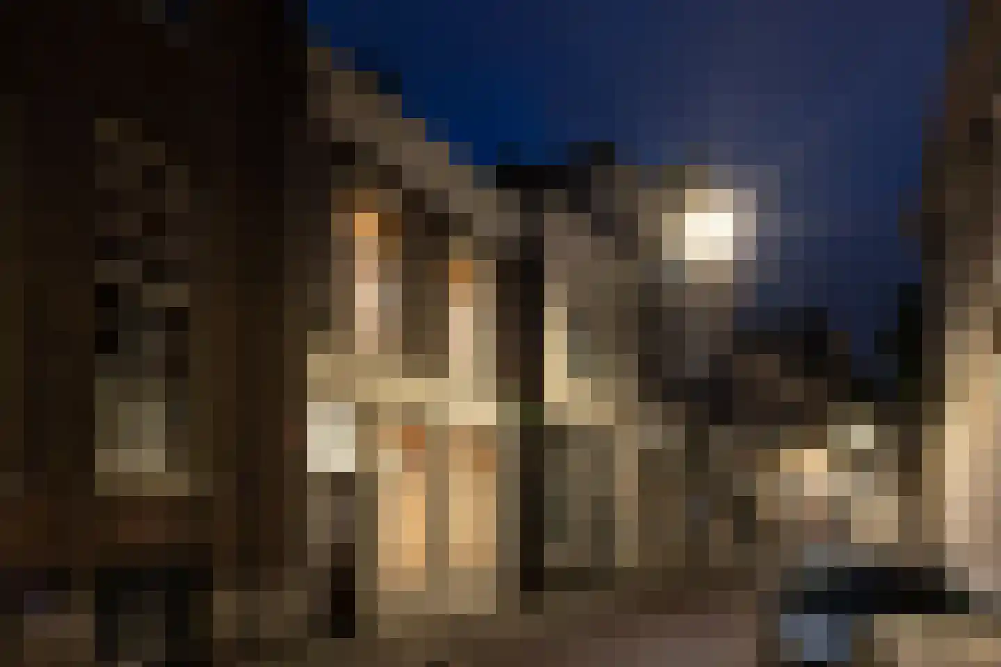 Oude Dieze 9 's-Hertogenbosch thumbnail 49