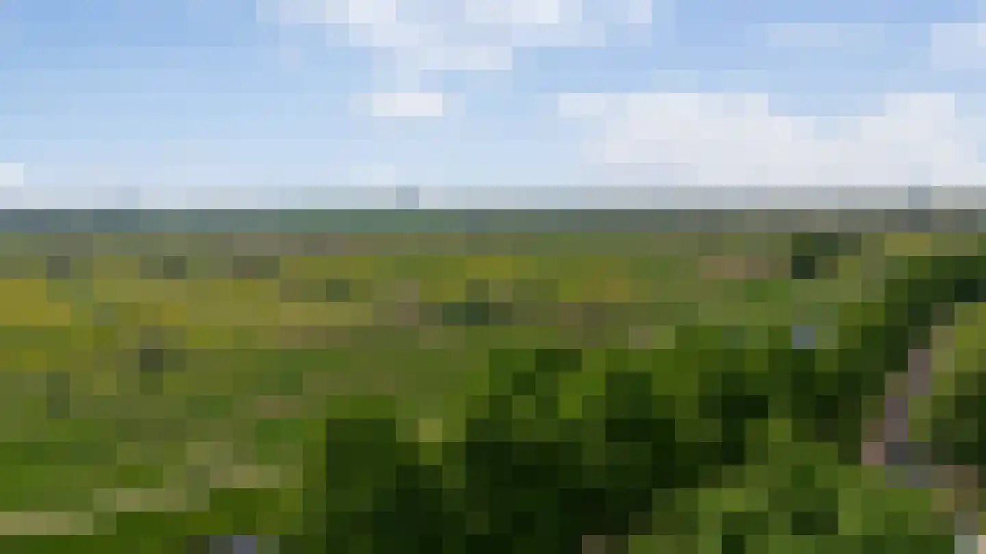 Oude Dieze 9 's-Hertogenbosch thumbnail 53