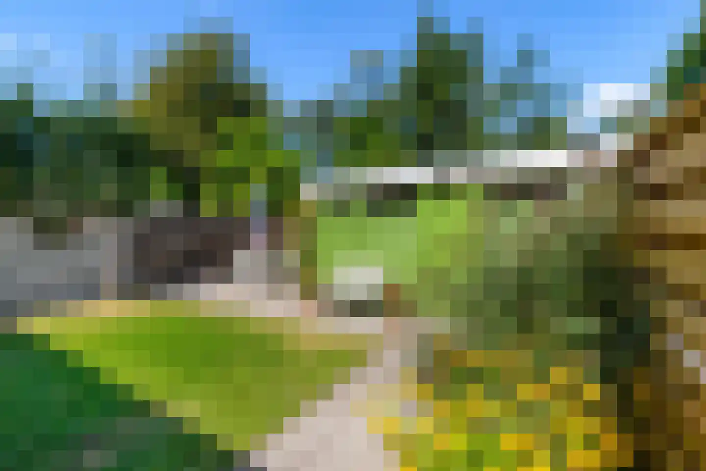 Oude Dijk 10 Zuidlaren thumbnail 17