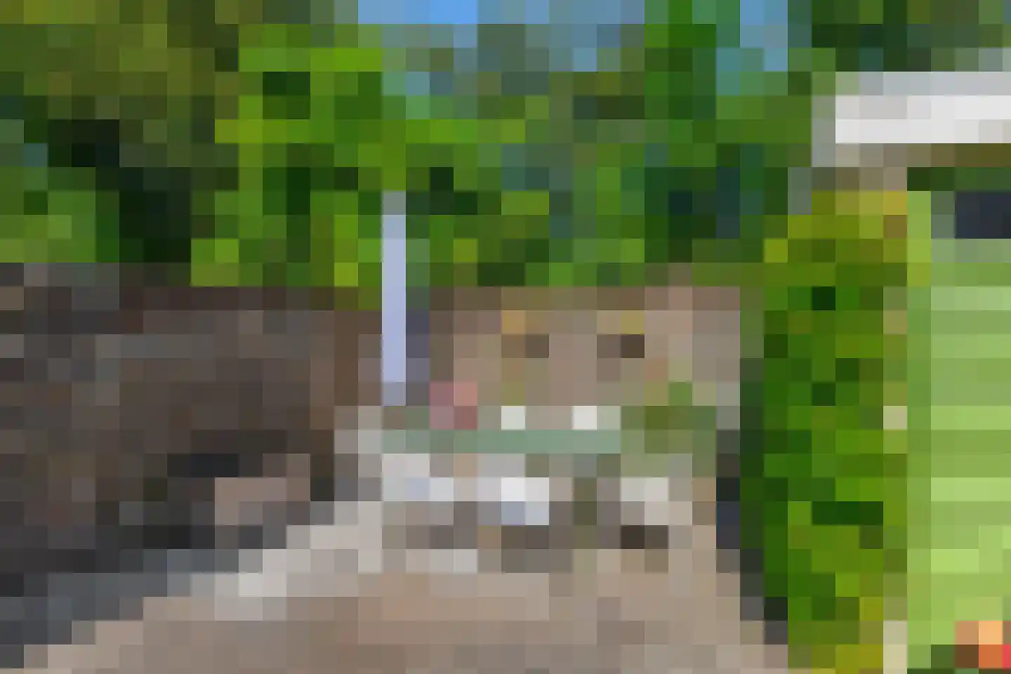 Oude Dijk 10 Zuidlaren thumbnail 18