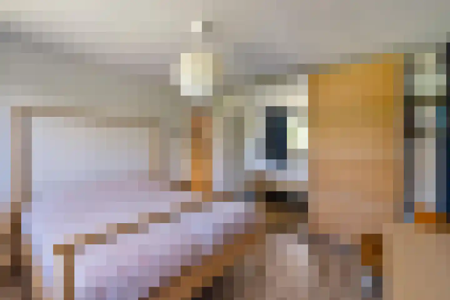 Oude Dijk 10 Zuidlaren thumbnail 21