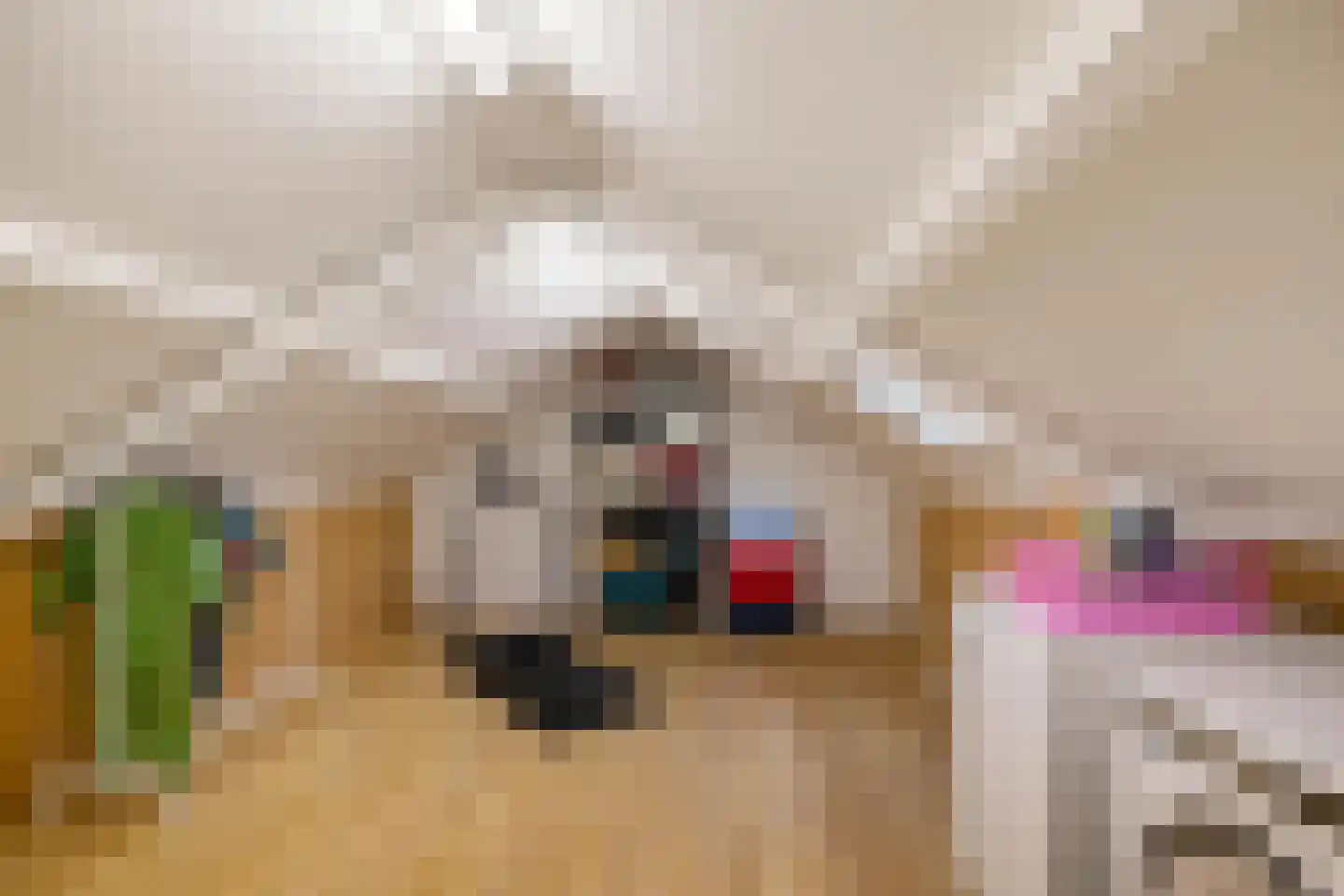 Oude Dijk 10 Zuidlaren thumbnail 28
